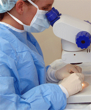 Hair grafts are prepared using binocular microscopes